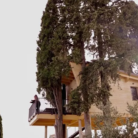 Alloggio per agriturismo La Masseria - La Casa Tra Gli Alberi *