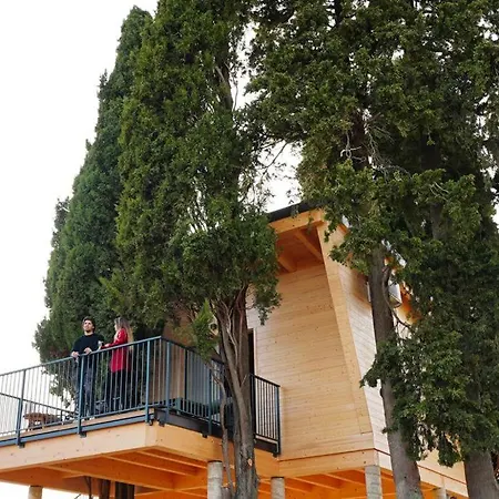 Alloggio per agriturismo La Masseria - La Casa Tra Gli Alberi
