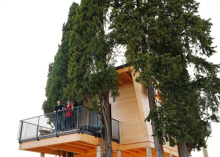 ファームステイ La Masseria - La Casa Tra Gli Alberi